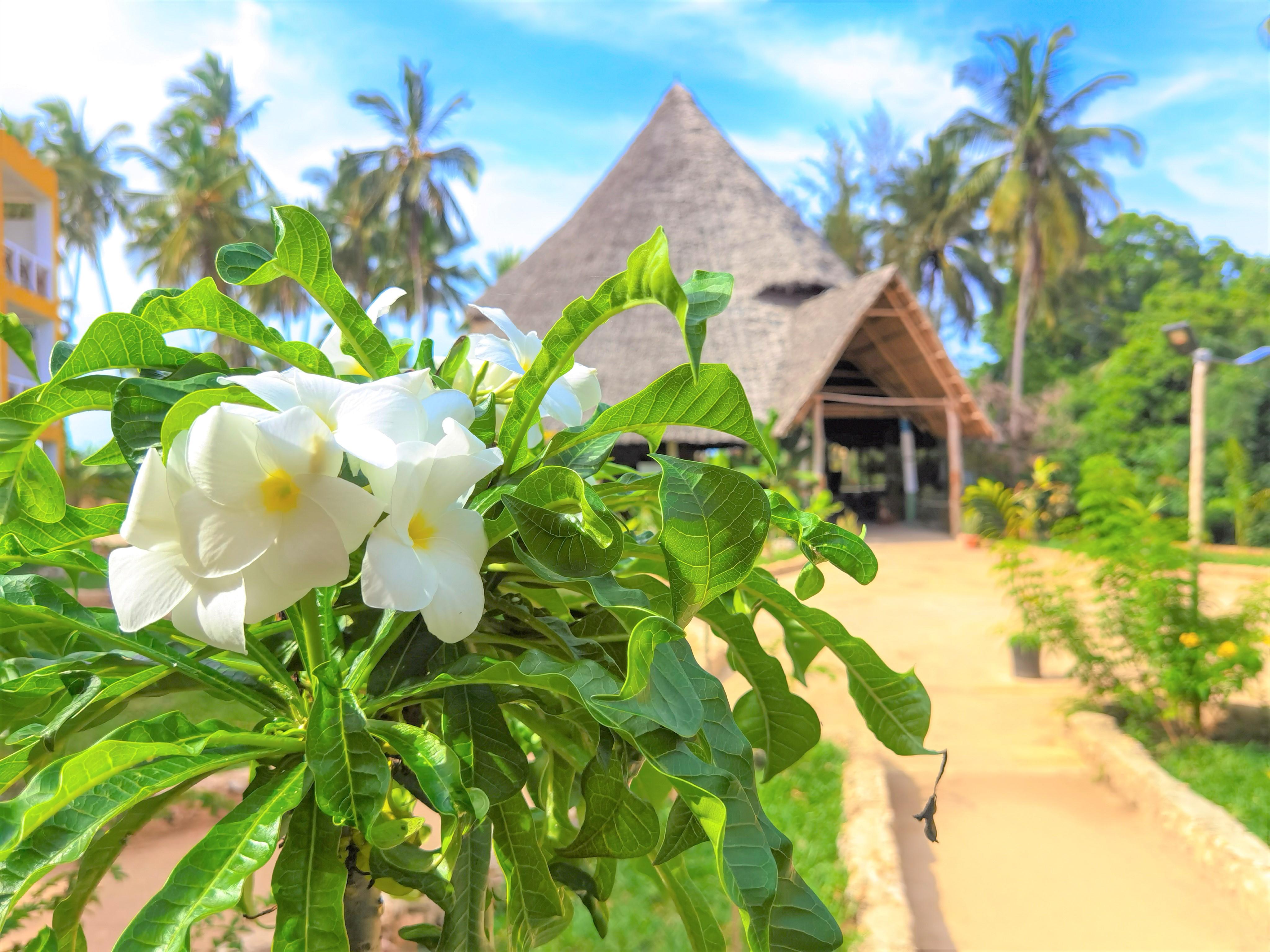 Reef & - Jambiani (Zanzibar)