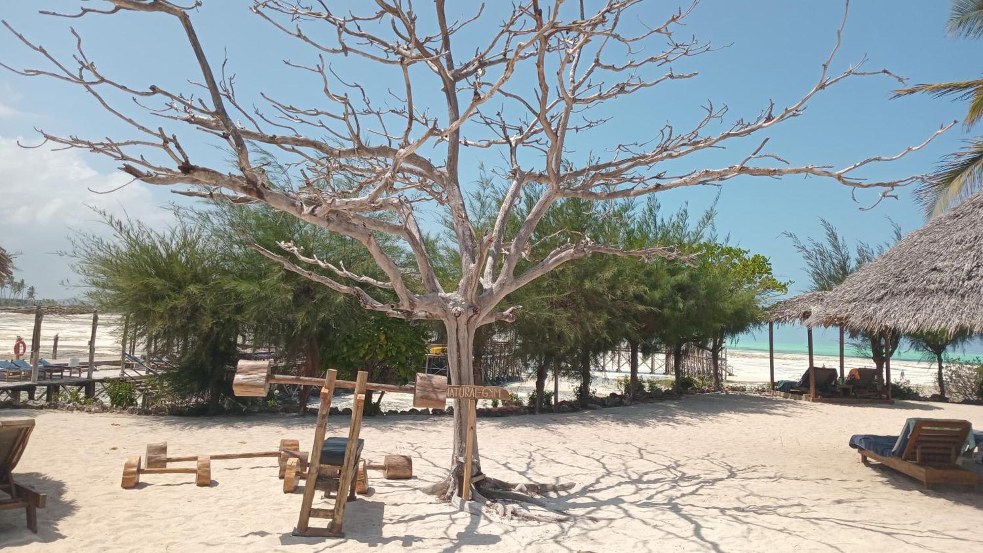 Reef & - 4* Jambiani (Zanzibar)